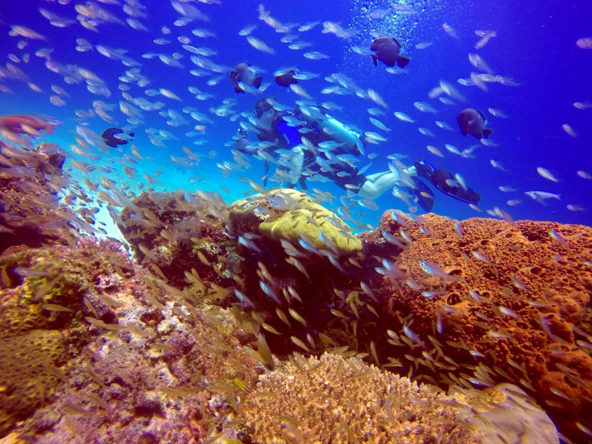 Anema Wellness & Resort Gili Lombok - Diving Center Padi Tanjung  Dış mekan fotoğraf