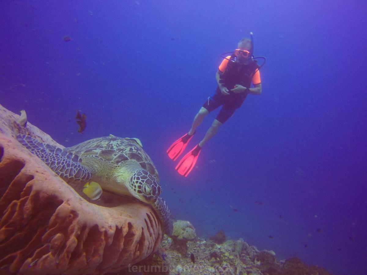 Anema Wellness & Resort Gili Lombok - Diving Center Padi Tanjung  Dış mekan fotoğraf