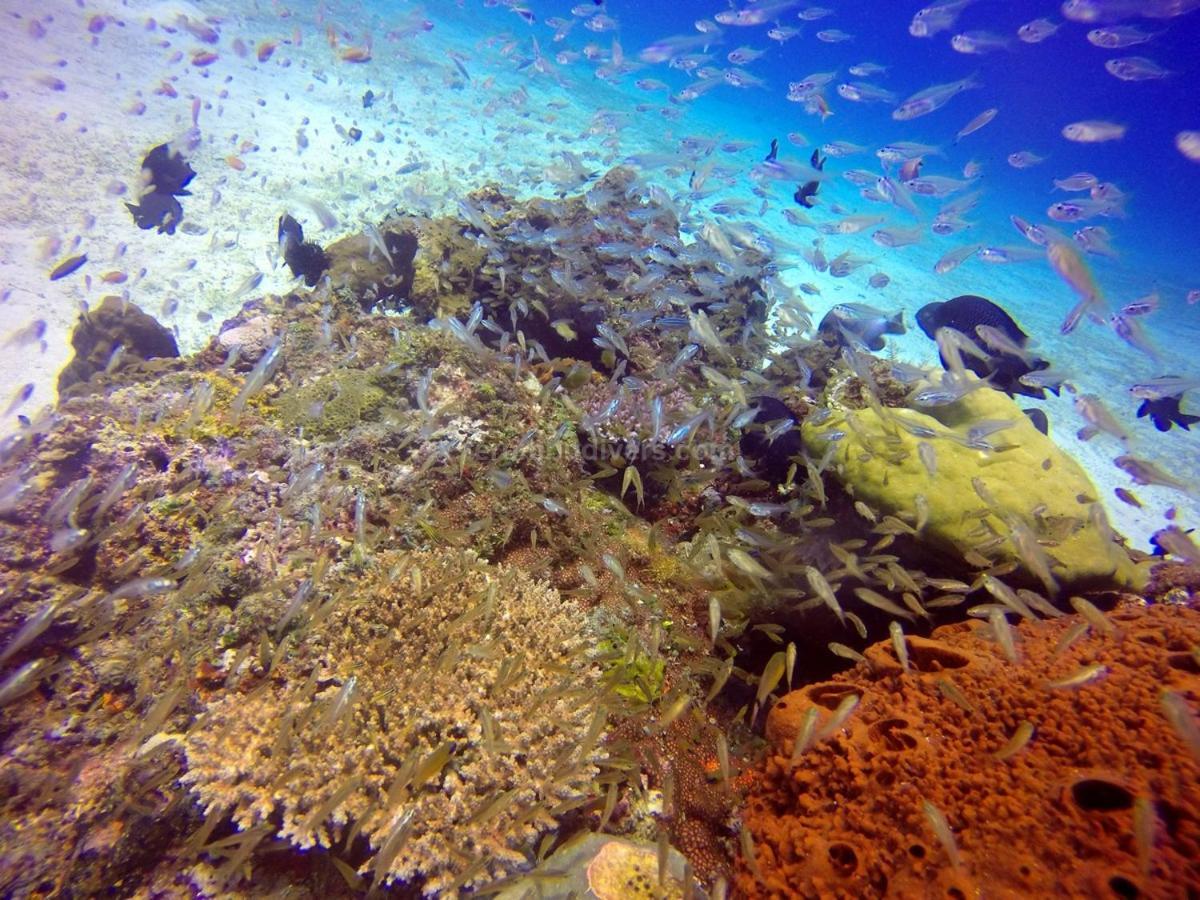 Anema Wellness & Resort Gili Lombok - Diving Center Padi Tanjung  Dış mekan fotoğraf
